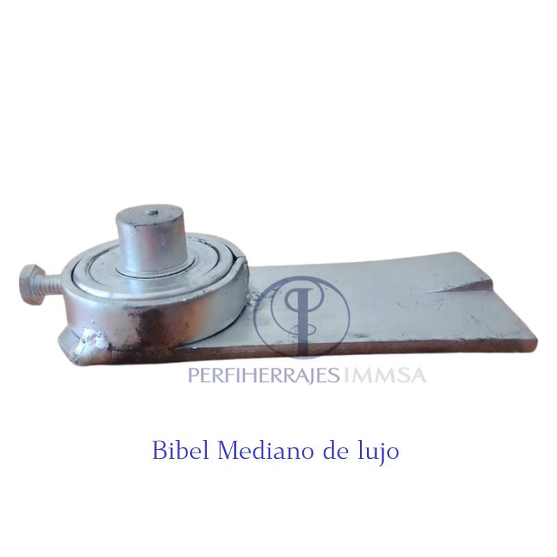 Bibel mediano de lujo 2